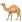 Animal Dromedary Camel